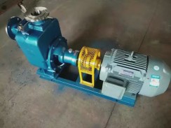 不(bu)鏽鋼(gang)自吸(xi)泵