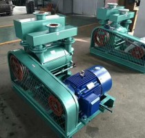 2BE水(shui)環真空(kong)泵