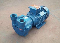 2BV水環式(shi)真空泵(beng)