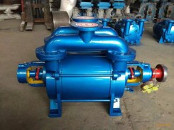 SK水環真(zhen)空泵