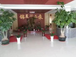 公(gong)司環(huan)境