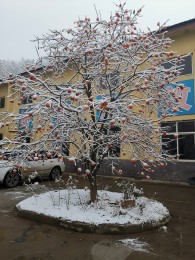 公(gong)司環(huan)境