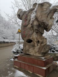 公(gong)司環(huan)境